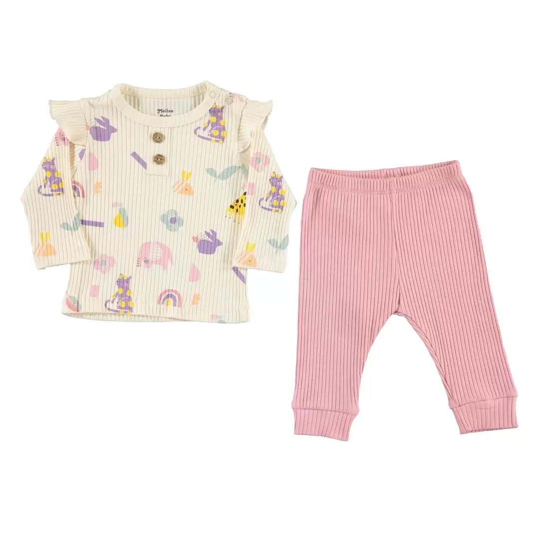 Baby Girl clothes 2-Piece Frilly Figured Set – Top and Bottom Set