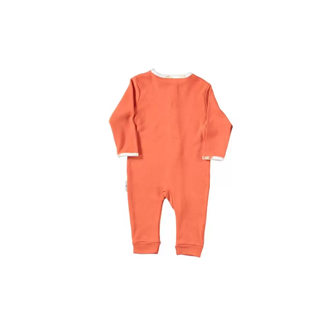 orange-post5